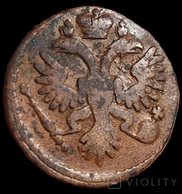 166168007.jpg