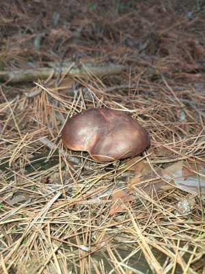 photo_2025-11-03_20-41-31 (2).jpg