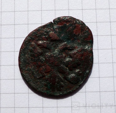 193600081.jpg