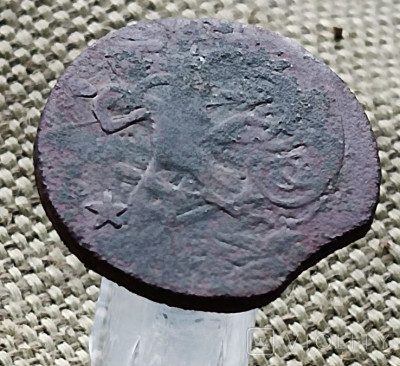 179668250.jpg