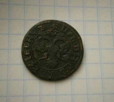 16665071.jpg