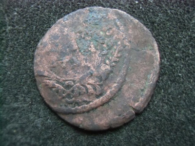 CIMG4764.JPG