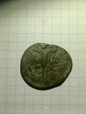 195517813.jpg