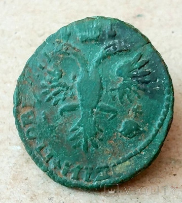 195031583.jpg