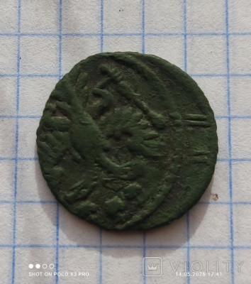 194642598.jpg