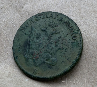 195734004.jpg