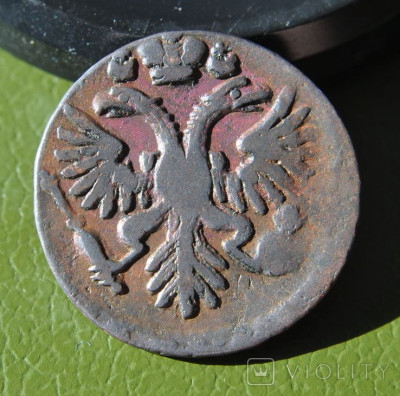 194502110.jpg