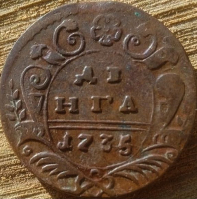 17924794.jpg