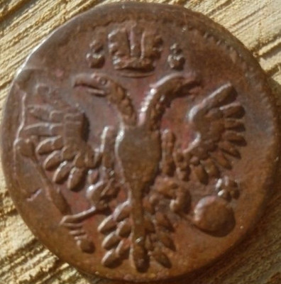 17924797.jpg