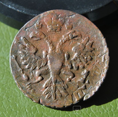 194502281.jpg