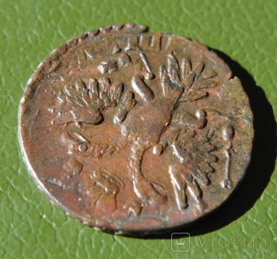 194502288.jpg
