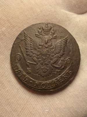 187515669.jpg