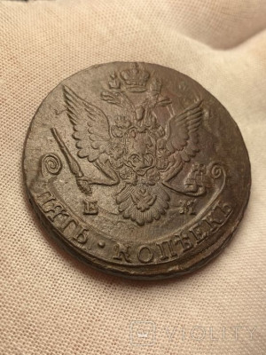 187515670.jpg