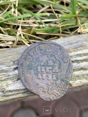 196989769.jpg