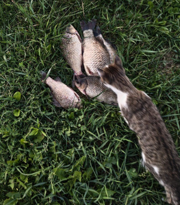 IMG_20260804_075435.jpg