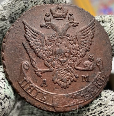 190518726.jpg