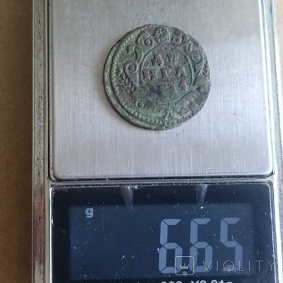 196855715.jpg