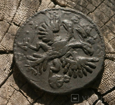 198970977.jpg