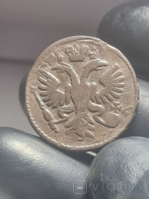 194540202.jpg