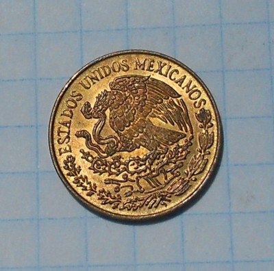 57.jpg