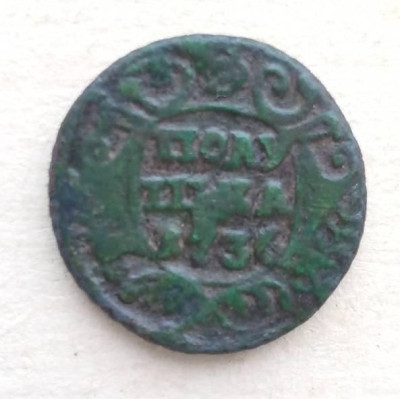 196.jpg