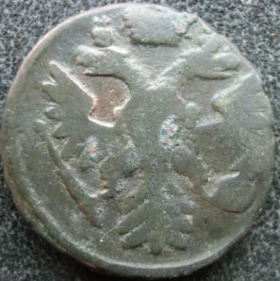 217.JPG
