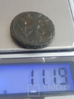 219.jpg