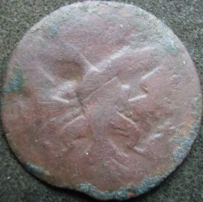 224.JPG