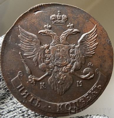 166344803.jpg