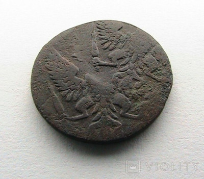 167894315.jpg