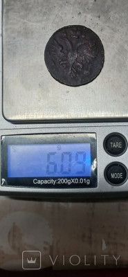 169109810.jpg