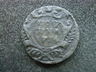 CIMG9591.JPG