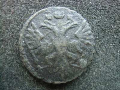 CIMG9592.JPG