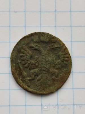 171764836.jpg