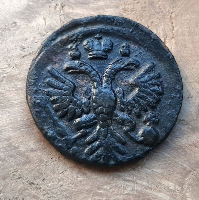 171689525.jpg