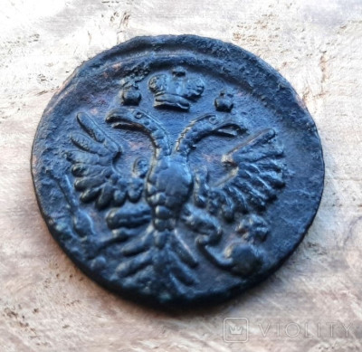 171689526.jpg