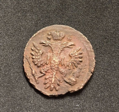 172187883.jpg