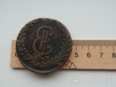 171884995.jpg
