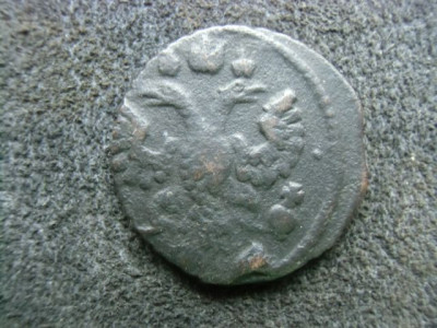 CIMG1260.JPG
