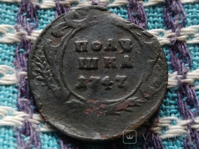 172134236.jpg