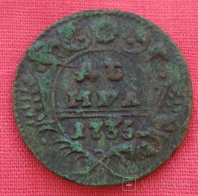 172928257.jpg