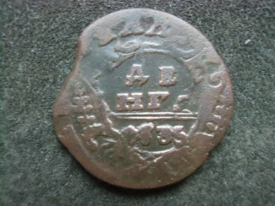 CIMG1198.JPG