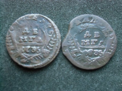 CIMG1211.JPG