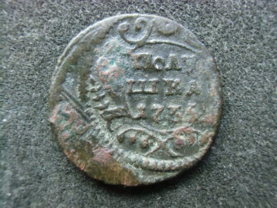 CIMG7941.JPG