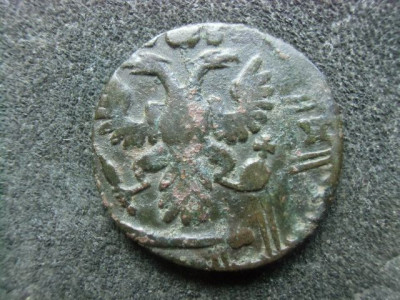 CIMG7943.JPG