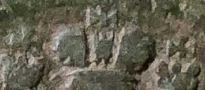 12.jpeg