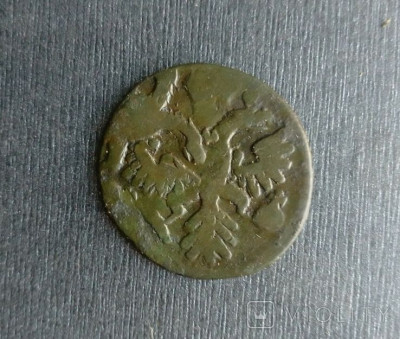 172867891.jpg