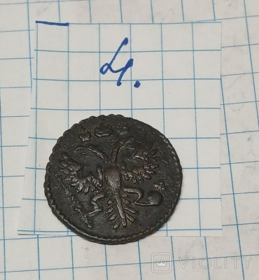 172125561.jpg