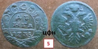 33-4. С розеткой цветок гвоздики, ЦФН №5