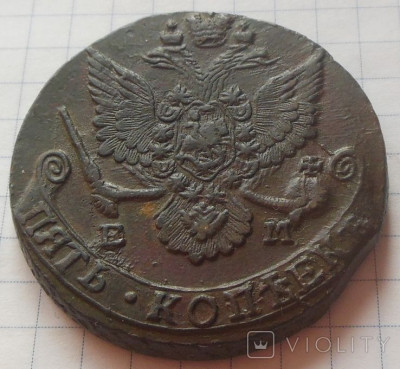 173961337.jpg